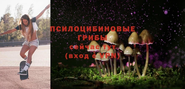 метамфетамин Осташков