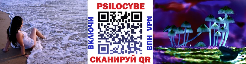 Псилоцибиновые грибы Cubensis  Павловский Посад 