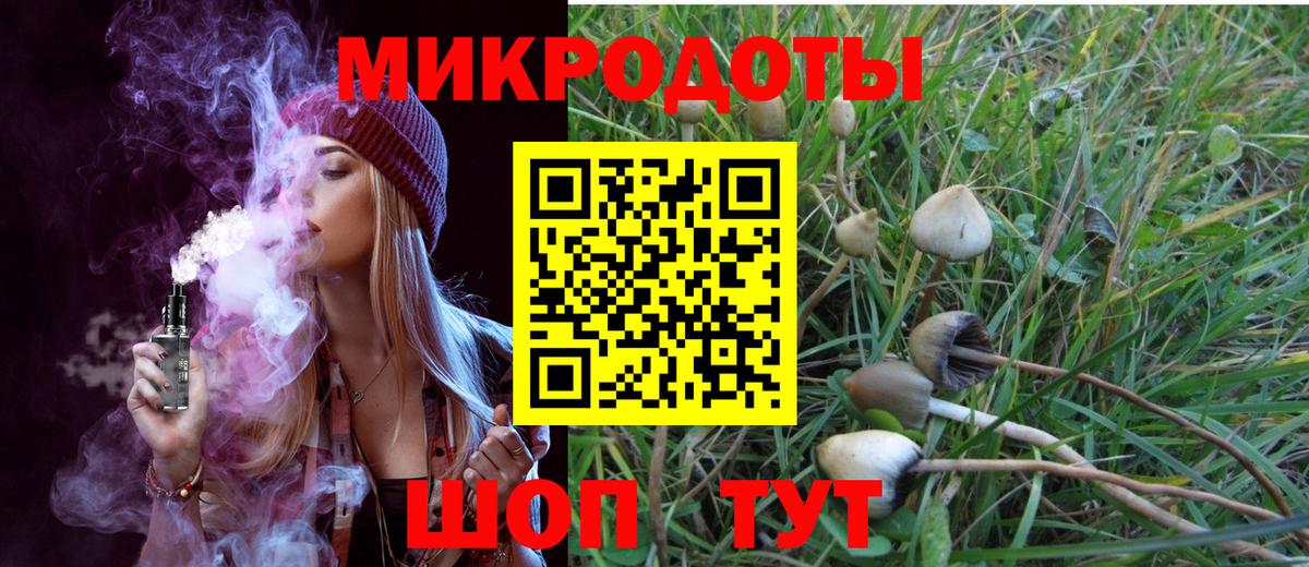 Псилоцибиновые грибы Magic Shrooms Павловский Посад